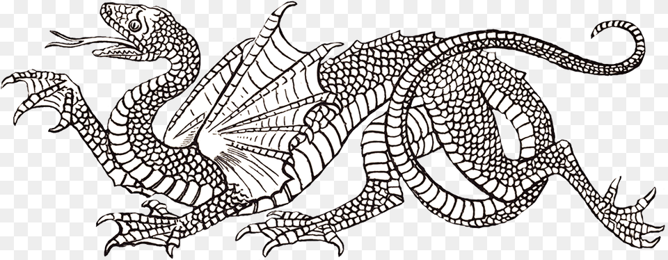 Great Pictures Of Cool Dragons Heraldic Dragon, Animal, Lizard, Reptile Free Transparent Png