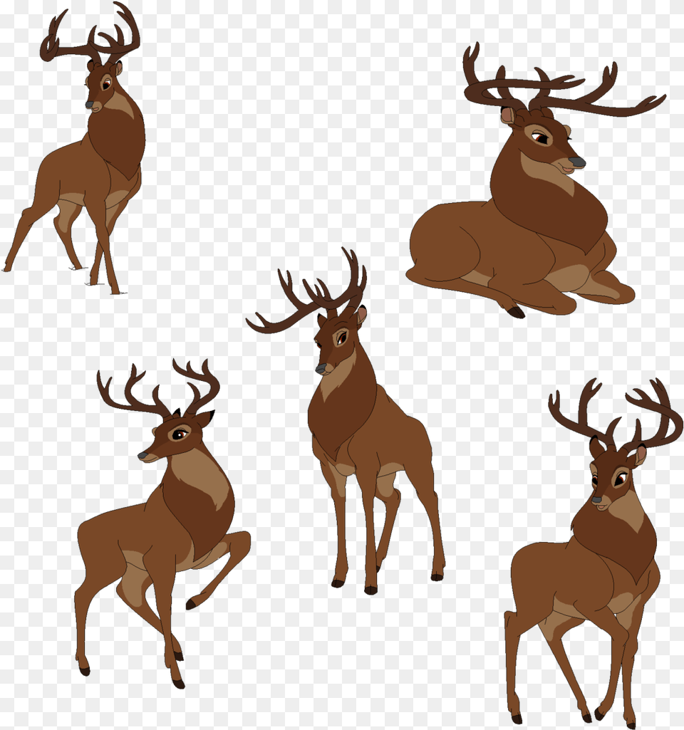 Great Prince Of The Forest Bambi Thumper Faline Drawing Great Prince Of The Forest Human, Animal, Deer, Mammal, Wildlife Free Png