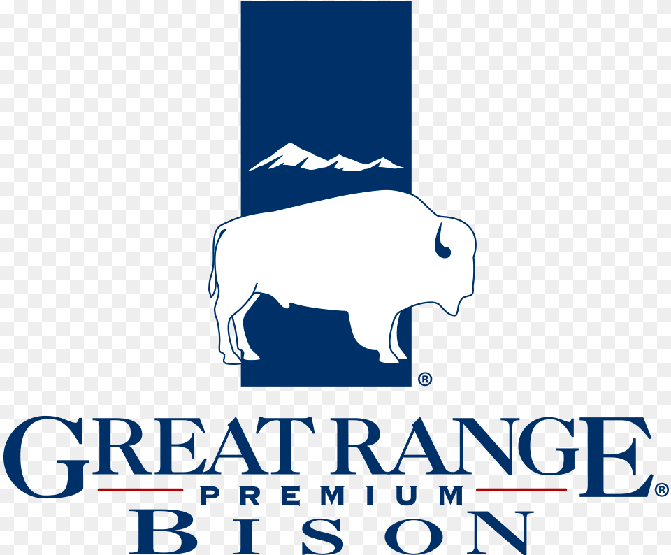 Great Range Premium Bison Great Range Bison, Animal, Bear, Mammal, Wildlife Free Png Download
