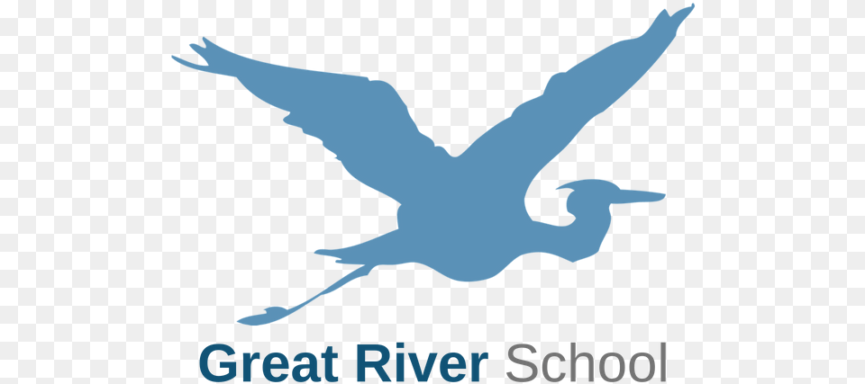 Great River School Seabird, Animal, Bird, Crane Bird, Waterfowl Png Image