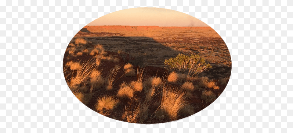 Great Sandy National Park, Nature, Field, Photography, Grassland Free Transparent Png
