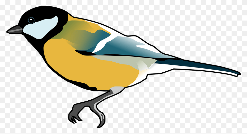 Great Tit Clipart, Animal, Bird, Finch, Fish Free Png Download