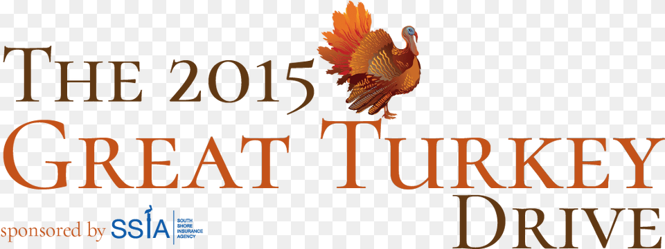 Great Turkey Drive Graphic Design, Animal, Bird Free Png