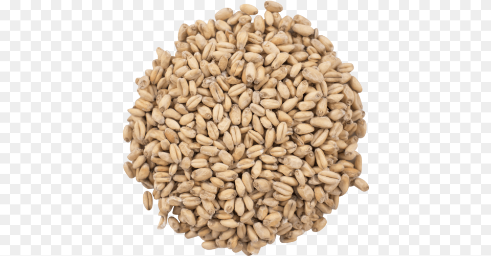 Great Western White Wheat Malt Organic Grains, Food, Grain, Produce Free Png Download