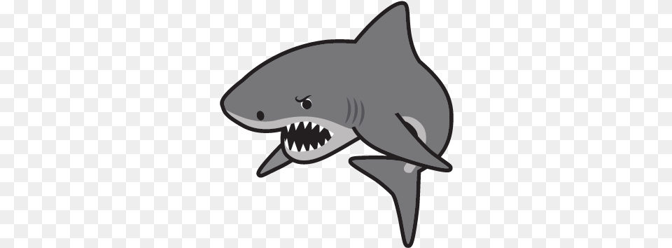 Great White Shark, Animal, Fish, Sea Life, Great White Shark Png Image