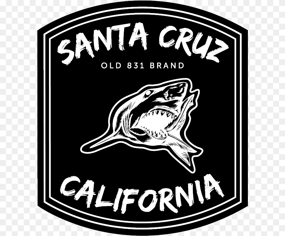 Great White Shark, Logo, Animal, Fish, Sea Life Png