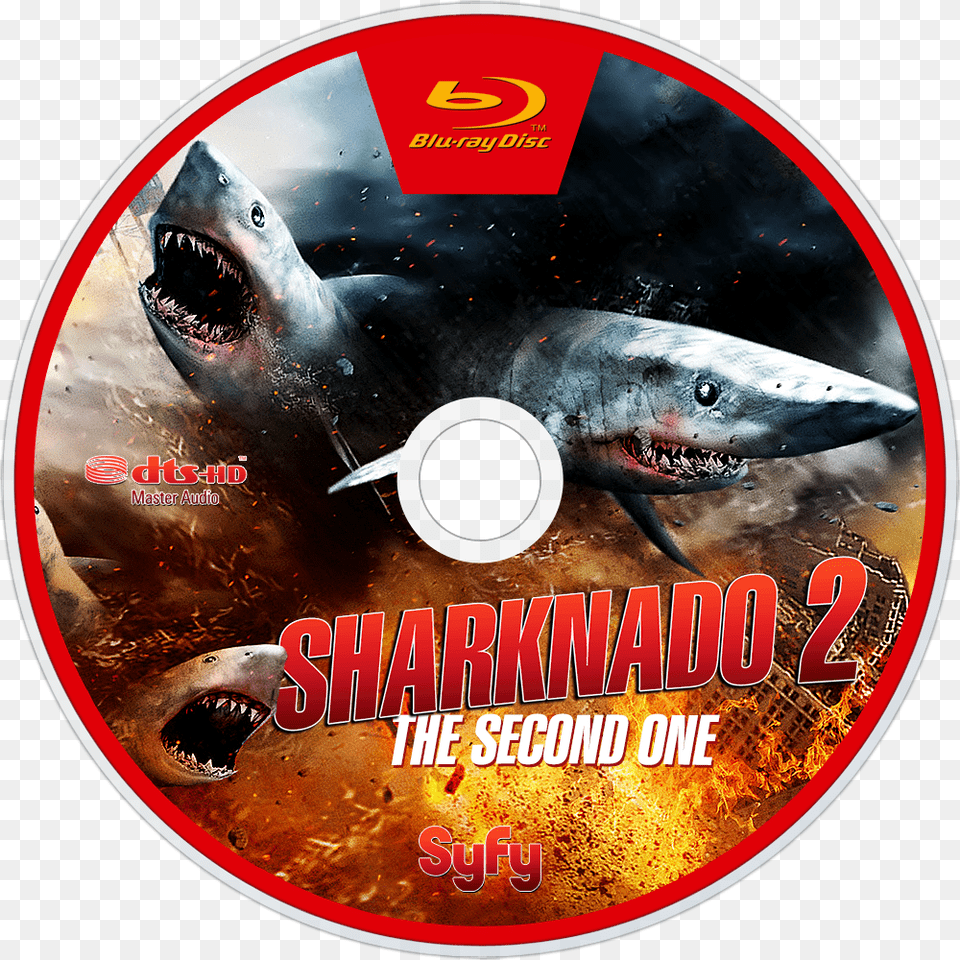 Great White Shark, Disk, Dvd, Animal, Fish Png Image