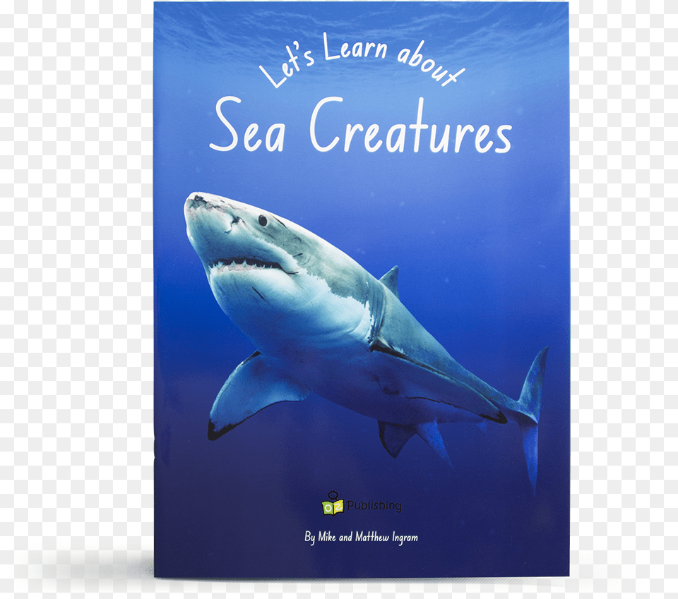 Great White Shark, Animal, Fish, Sea Life, Great White Shark Free Transparent Png