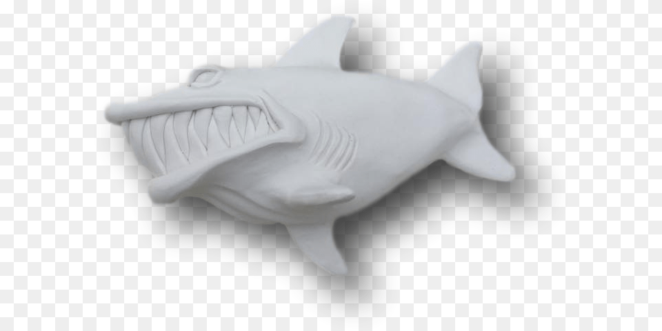 Great White Shark, Animal, Fish, Sea Life, Pottery Png Image