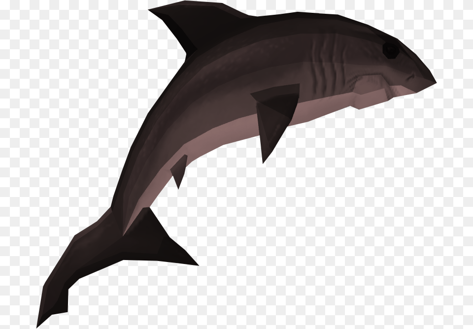 Great White Shark, Animal, Sea Life, Fish, Person Free Transparent Png