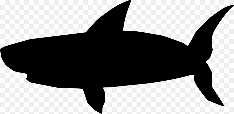 Great White Shark Bruce Hammerhead Shark Blue Shark, Gray Free Png