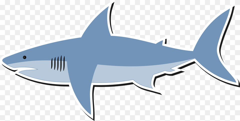 Great White Shark Bull Shark Shark Finning Lemon Shark, Animal, Fish, Sea Life, Great White Shark Png Image