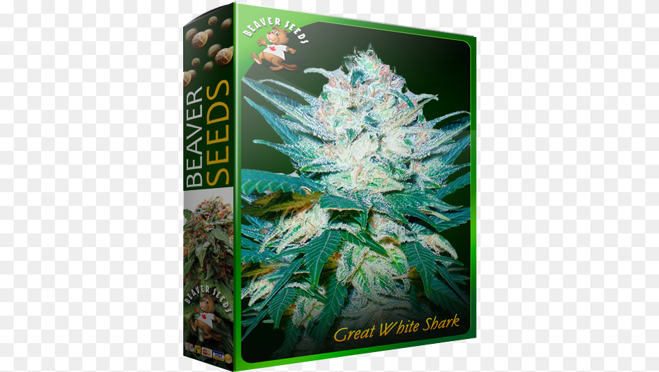 Great White Shark Cannabis, Plant, Weed, Hemp, Baby Png