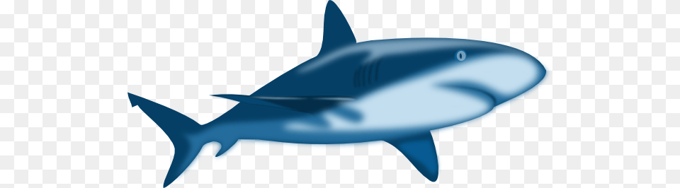 Great White Shark Clip Art, Animal, Fish, Sea Life, Great White Shark Free Png