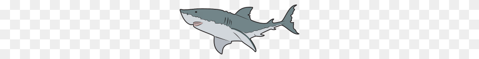 Great White Shark Clip Art, Animal, Fish, Sea Life, Great White Shark Free Png