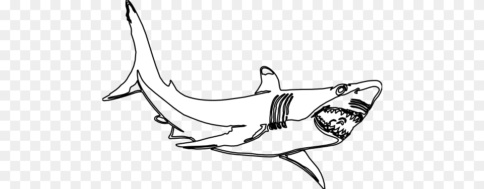 Great White Shark Clip Art, Animal, Fish, Sea Life Free Transparent Png
