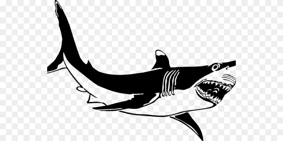 Great White Shark Clipart, Animal, Fish, Sea Life Free Png