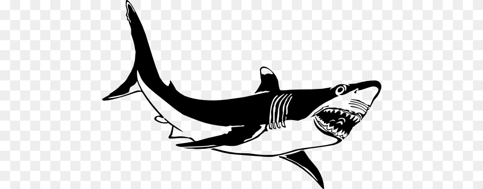 Great White Shark Clipart Black And White, Animal, Sea Life, Fish Png Image