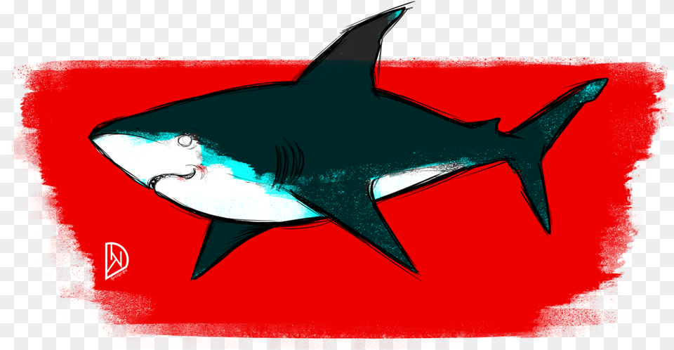 Great White Shark Clipart Download Great White Shark, Animal, Fish, Sea Life, Aircraft Free Png