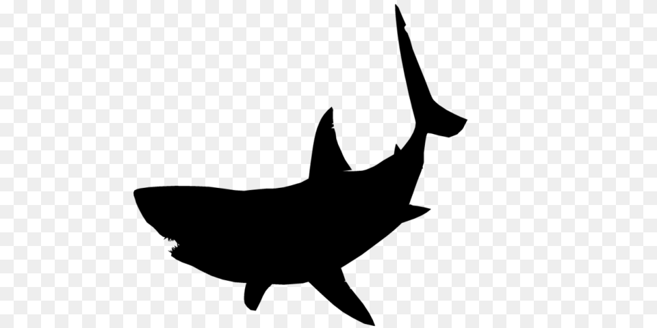 Great White Shark Clipart Jumping, Nature, Night, Outdoors Png Image