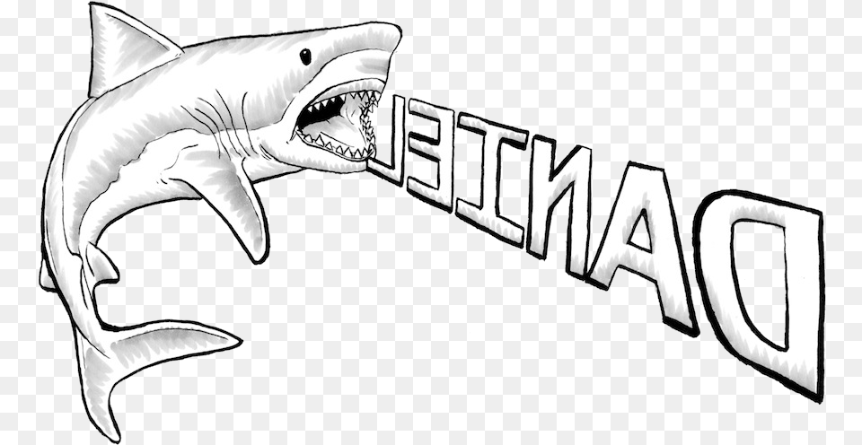 Great White Shark Drawing Great White Shark, Animal, Fish, Sea Life Png Image
