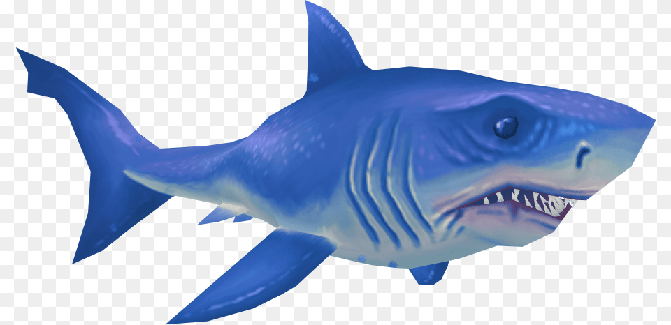 Great White Shark Great White Shark Blue, Animal, Fish, Sea Life Png
