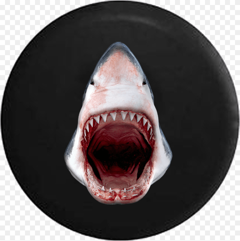 Great White Shark Jaws Open Razor Sharp Teeth Jeep Great White Shark, Animal, Fish, Sea Life Free Png Download