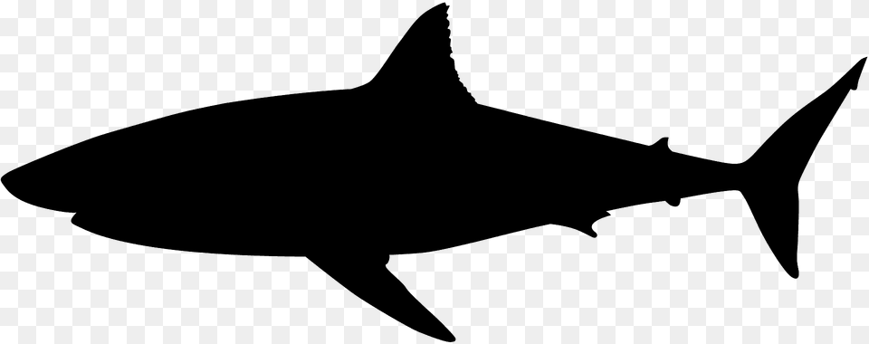 Great White Shark Silhouette, Animal, Sea Life, Fish, Tuna Free Transparent Png