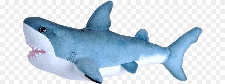 Great White Shark Stuffed Animal Shark Stuffed Animal Transparent, Sea Life, Fish Free Png