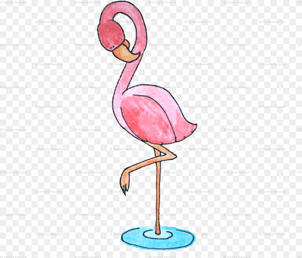 Greater Flamingo, Animal, Bird, Adult, Female Free Png Download