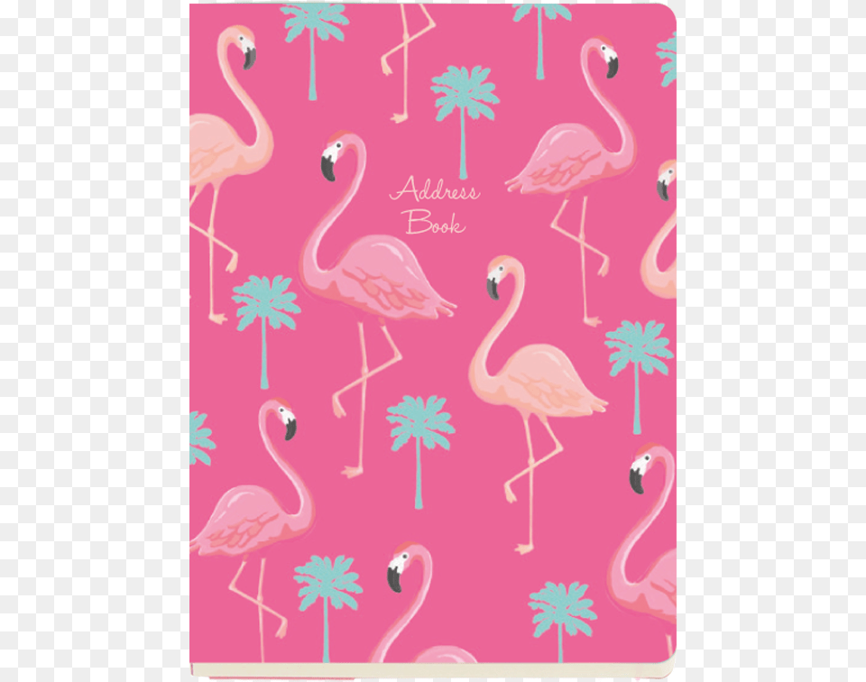 Greater Flamingo, Animal, Bird Free Png Download