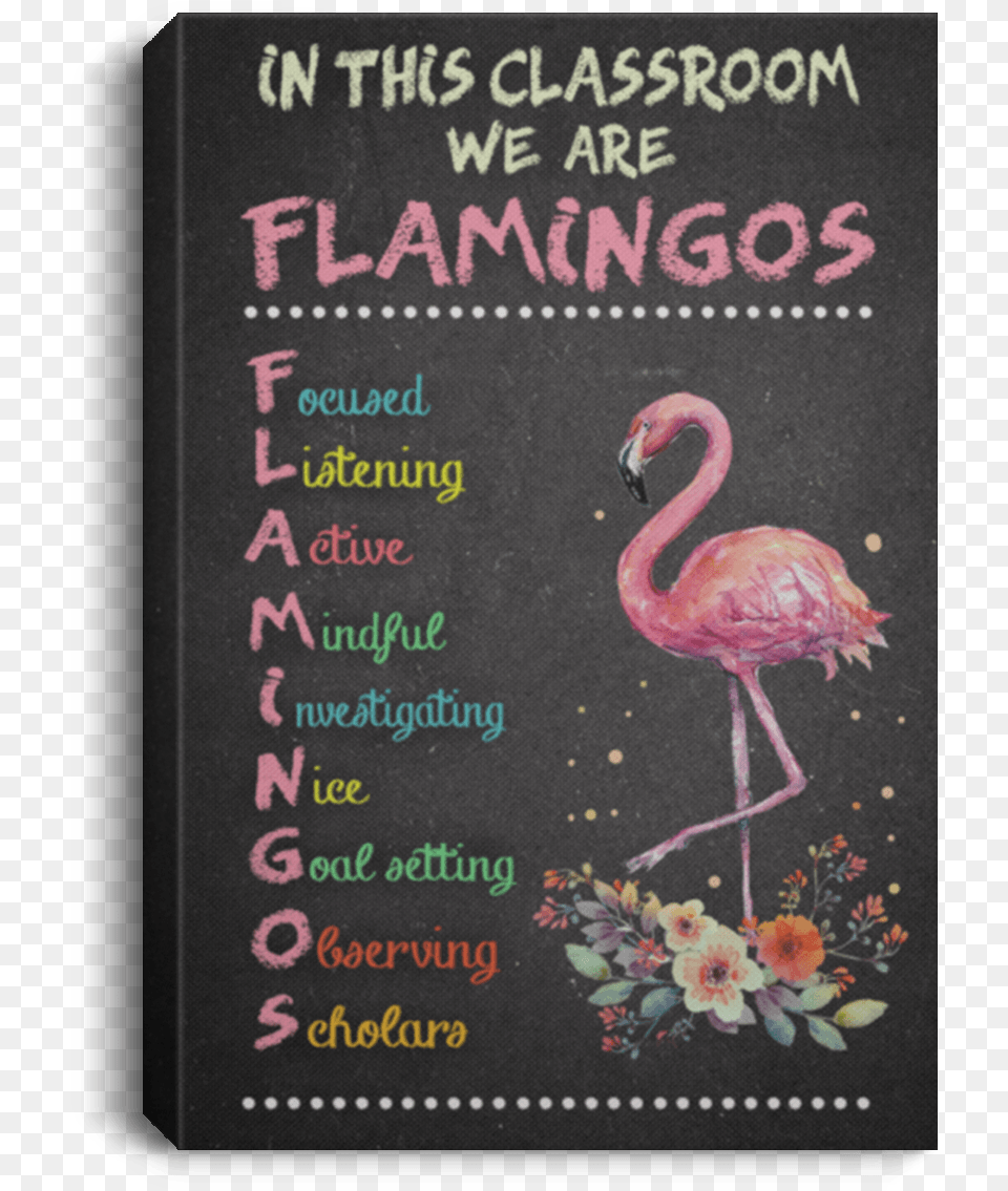 Greater Flamingo, Animal, Bird Free Transparent Png