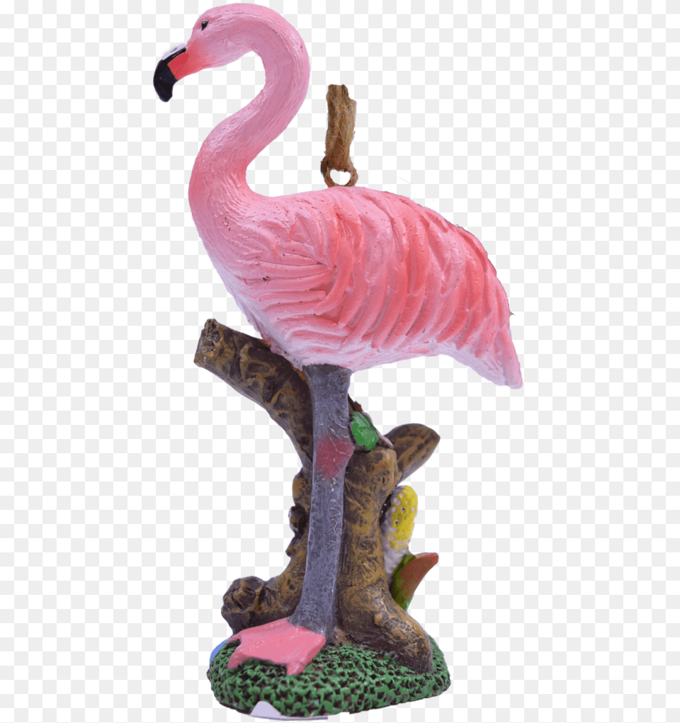 Greater Flamingo, Animal, Beak, Bird Free Transparent Png