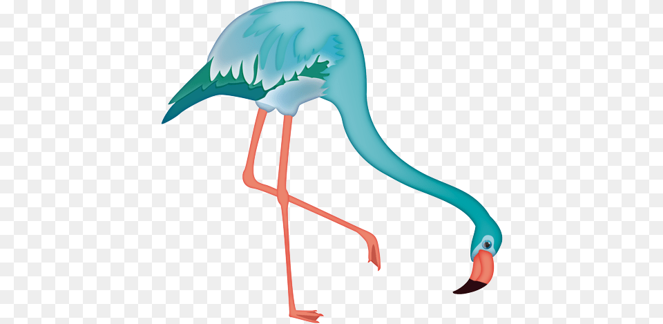 Greater Flamingo, Animal, Bird, Waterfowl, Crane Bird Png