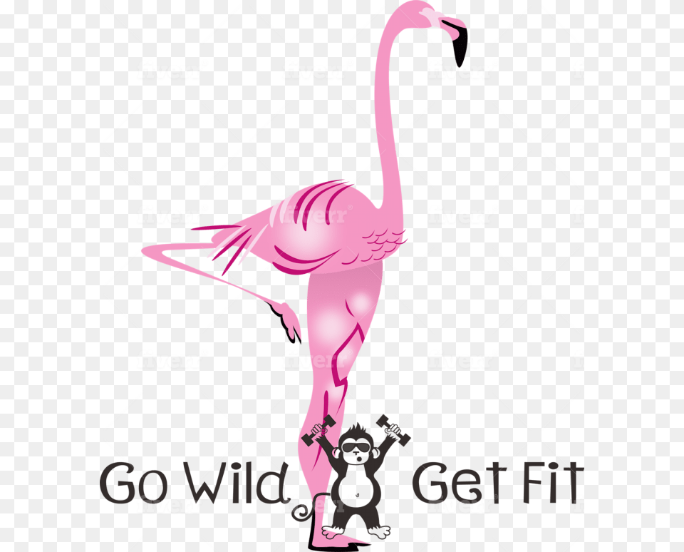 Greater Flamingo, Animal, Baby, Bird, Person Free Png Download