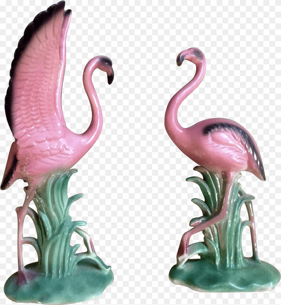 Greater Flamingo, Animal, Bird, Figurine Free Png