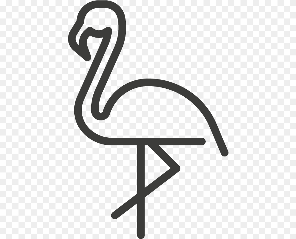 Greater Flamingo, Animal, Bird Png Image