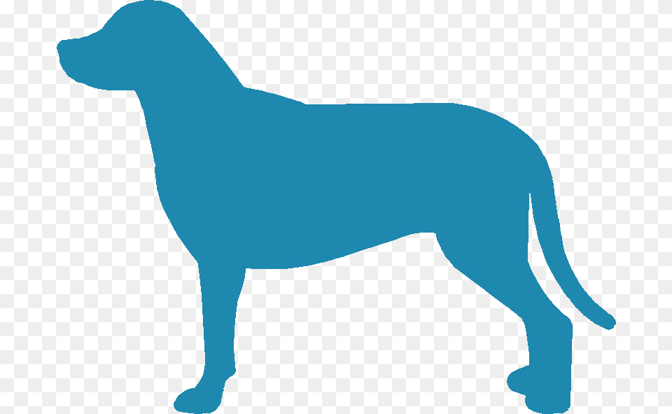 Greater Swiss Mountain Dog Silhouette Ancient Dog Breeds, Person, Animal, Pet, Canine Free Transparent Png