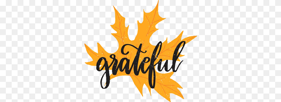 Greatful Thankful Blessed November Thanksgiving Thanksg, Leaf, Plant, Tree, Person Free Png