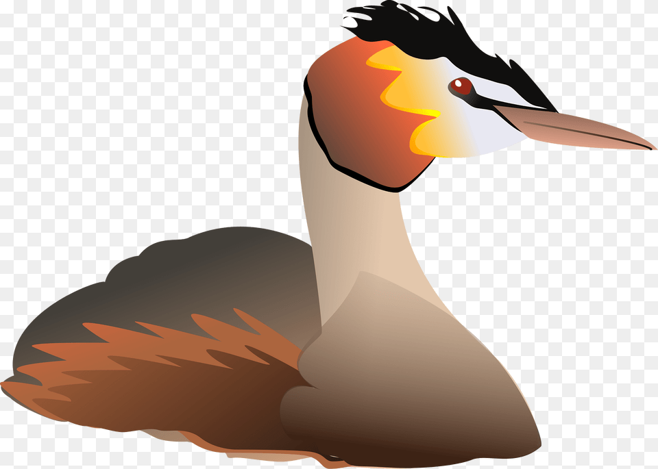 Grebe Clipart, Animal, Goose, Waterfowl, Bird Free Png Download