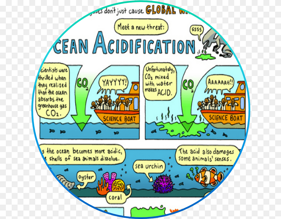 Greehouse Gases Don39t Just Cause Global Warming Ocean Acidification, Book, Comics, Publication, Disk Free Transparent Png