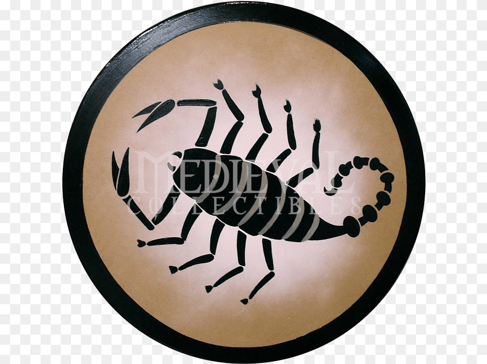 Greek Shield Spartan Shield Shield Tattoo Shield Greek Shield Designs Scorpion, Plate Free Png Download