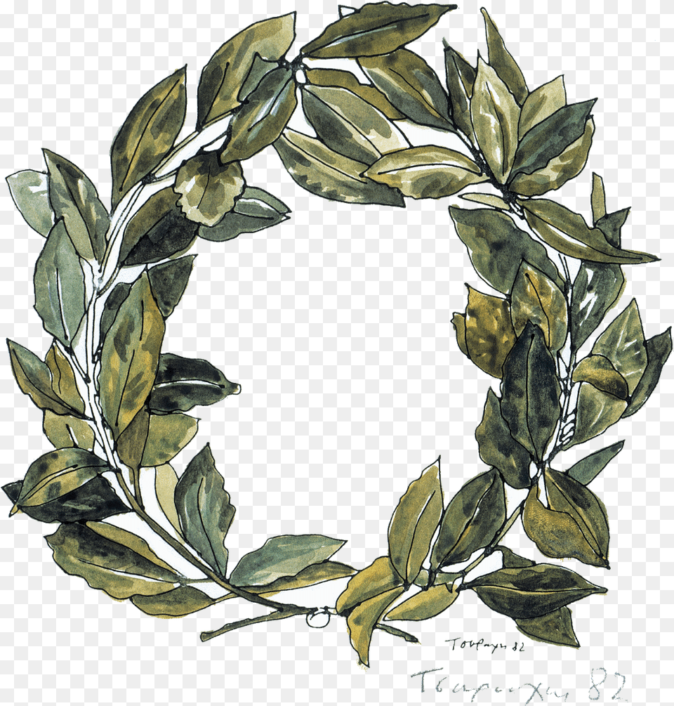 Greek Wreath, Leaf, Plant Png