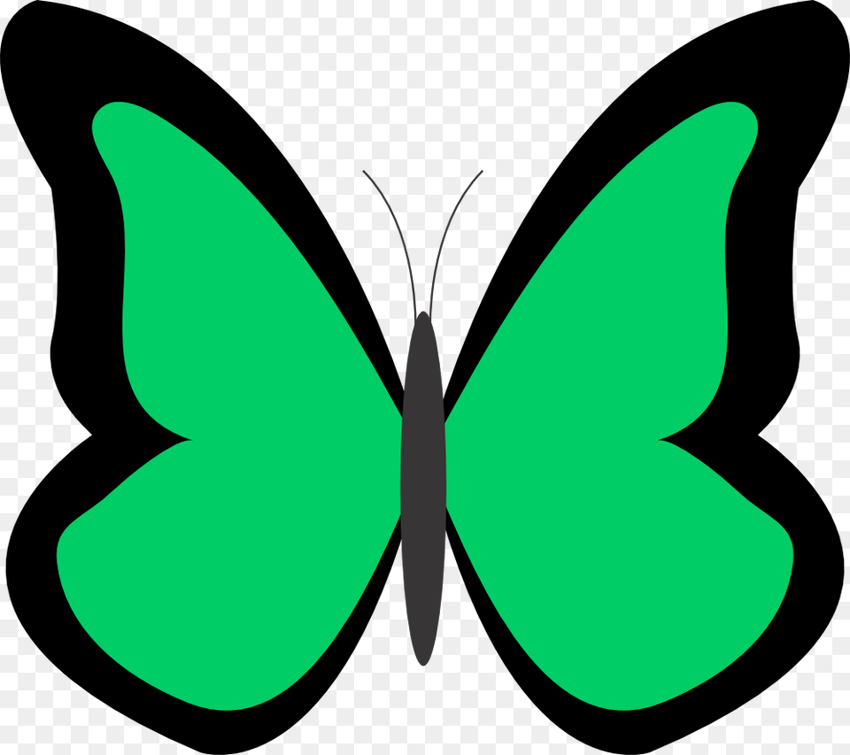 Green, Animal, Butterfly, Insect, Invertebrate Png