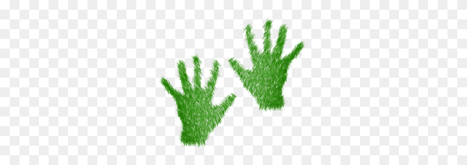 Green Clothing, Glove, Moss, Plant Free Png