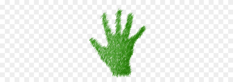 Green Moss, Plant, Clothing, Glove Png Image