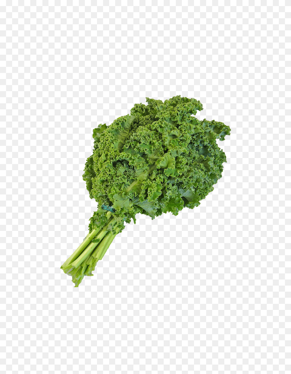 Green Food, Produce, Kale, Leafy Green Vegetable Free Png Download