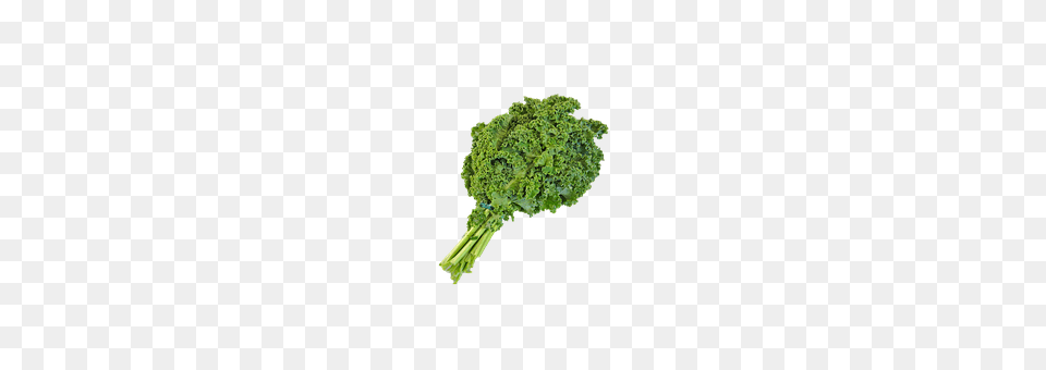 Green Food, Kale, Leafy Green Vegetable, Plant Free Png