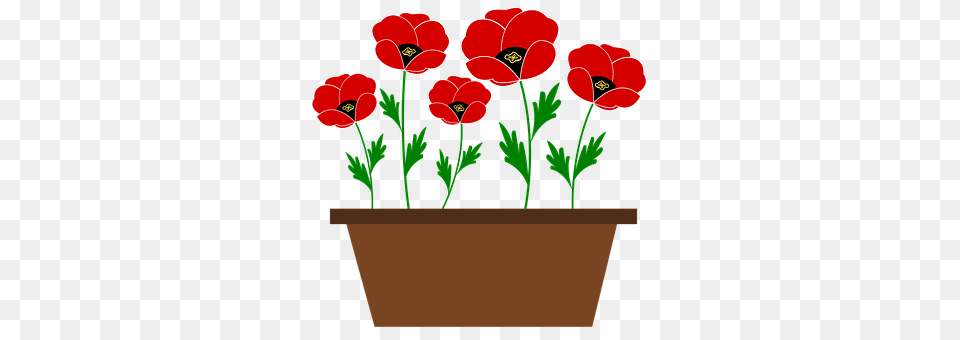 Green Flower, Plant, Potted Plant, Planter Free Transparent Png