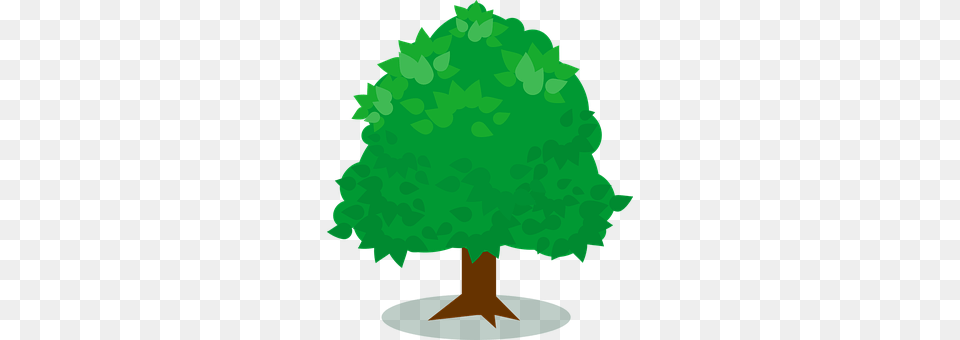 Green Plant, Tree, Vegetation, Potted Plant Png